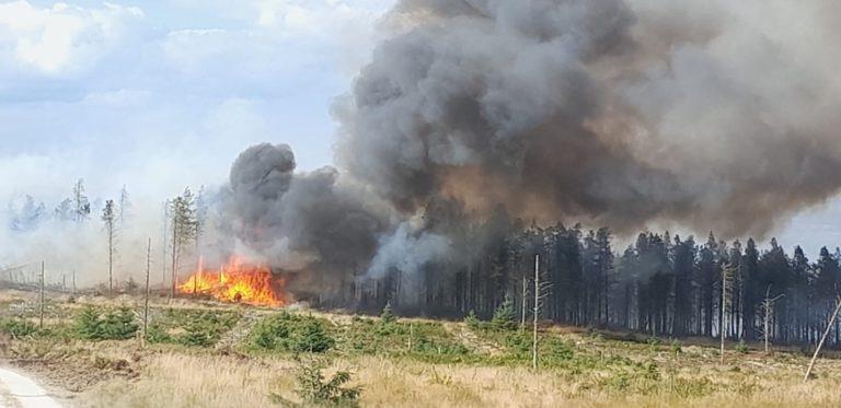 No commitment to reassess future coastal firefighting resources as national support arrives in North Yorkshire