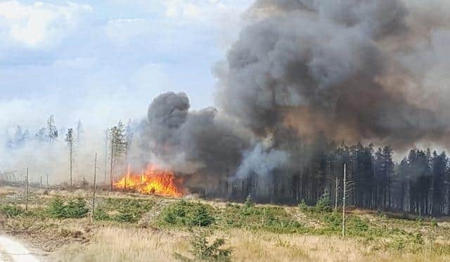 Langdale Moor Fire, picture taken on August 14 Courtesy NYFRS