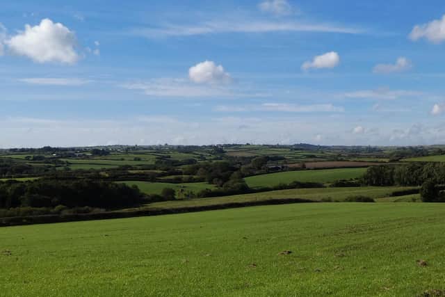 Countryside near Mickleby.