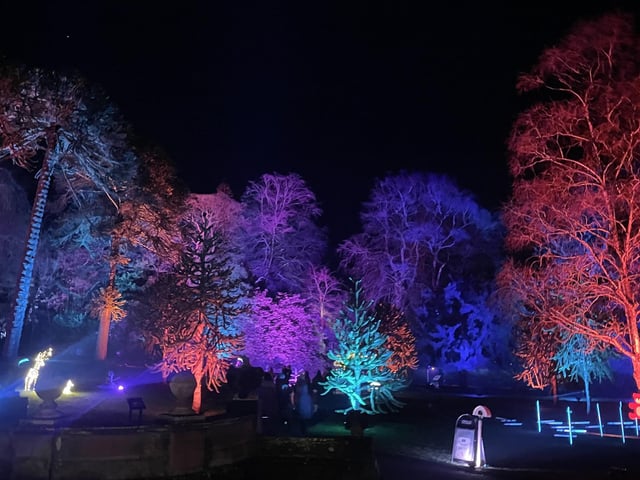 Even the Hall's renowned Monkey Puzzle Trees were bathed in vibrant light.