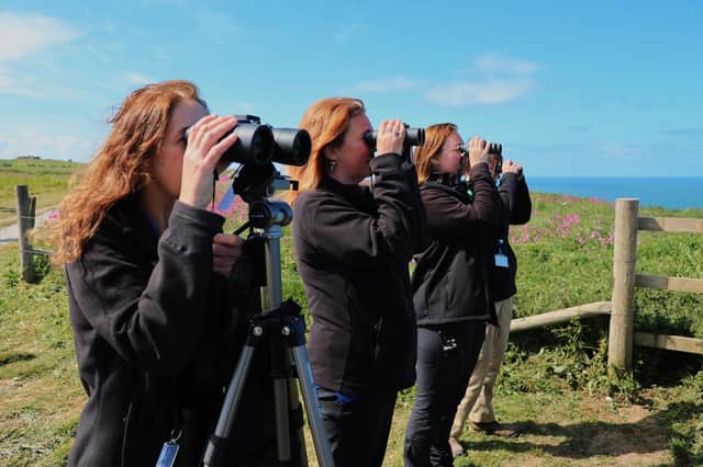 Shorewatch volunteers at RSPB Bempton Cliffs, East Yorkshire. Photo credit: Ellen Leach.