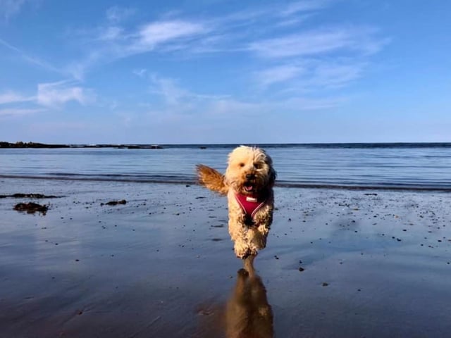Betty at North Bay, submitted by Donna Lee.