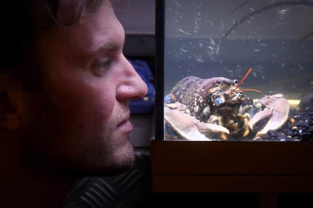 Joe Redfern of Whitby Lobster Hatchery will be attending the EFRA meeting in London.