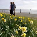 The Met Office predicts warmer temperatures and more sun for the Yorkshire coast this week. Photo: Richard Ponter.