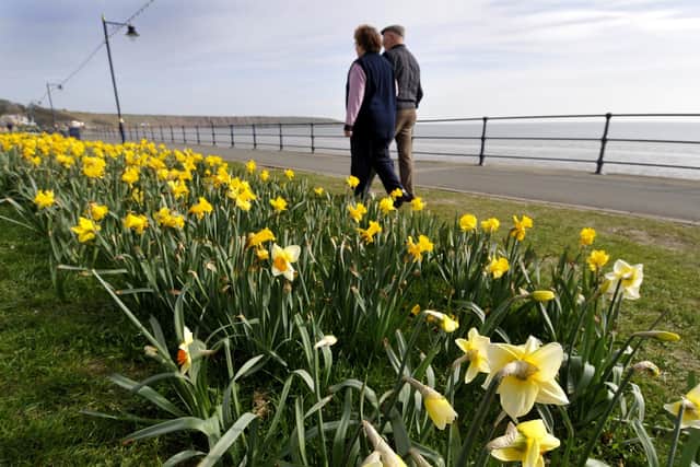 The Met Office predicts warmer temperatures and more sun for the Yorkshire coast this week. Photo: Richard Ponter.
