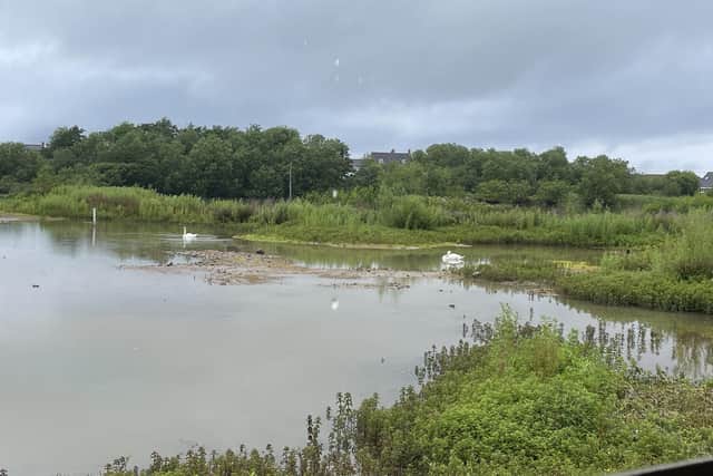 Filey Dams. Courtesy Rory Buccheri