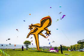 Kites of all sizes and shapes were on display at Sewerby Fields. Credit: Yorkshire Post/Tony Johnson