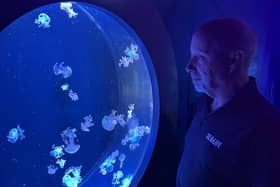 Brian and one of Scarborough Sea Life Jelly Fish exhibits