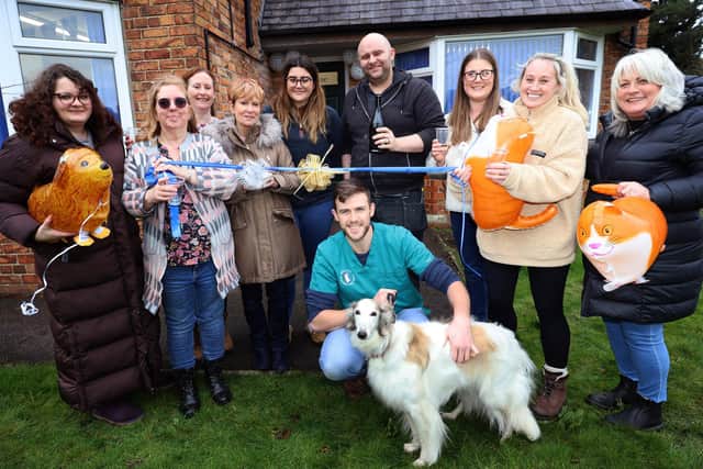 Senior vet Jim McCann (back row centre) and the team from Swanzdale Vets with Wind Hound, Meika, stealing the show front and centre.