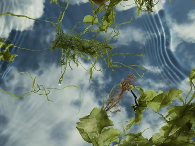 From March 4 until May 1, Scarborough Art Gallery have a new photography exhibition on show called 'Squaring the Circles'. It is priced at £3, or it is free for under-18s, carers and those with an annual pass. This exhibition features new and previously unseen work in the UK by ten contemporary artists.