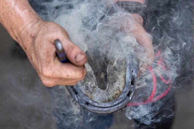 The Farrier Competition showcasing the skills of farriers, who are blacksmiths specialising in hoof care for horses, on the third day of the show