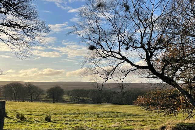 Swinton will create 55 habitat units, which will encourage a more biodiverse habitat for local wildlife and native plants