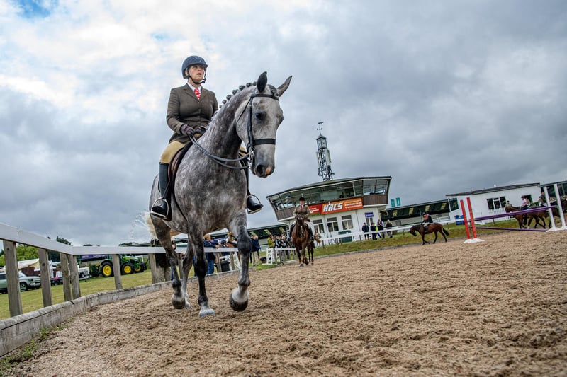 The equine classes getting warmed up in the collecting ring ahead of their competition on the first day of the show