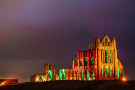 Whitby Abbey will be illuminated between 6pm and 9pm, from October 21 to 31.
picture: Tom Arber