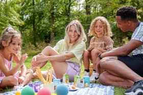Family enjoying a picnic.
picture: Forestry England