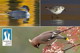 The photography experience is on from Dec ember until February along the Yorkshire coast.