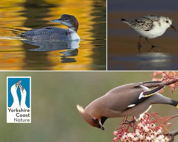 The photography experience is on from Dec ember until February along the Yorkshire coast.