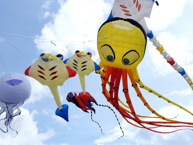 Stunning sea creatures take to the skies!