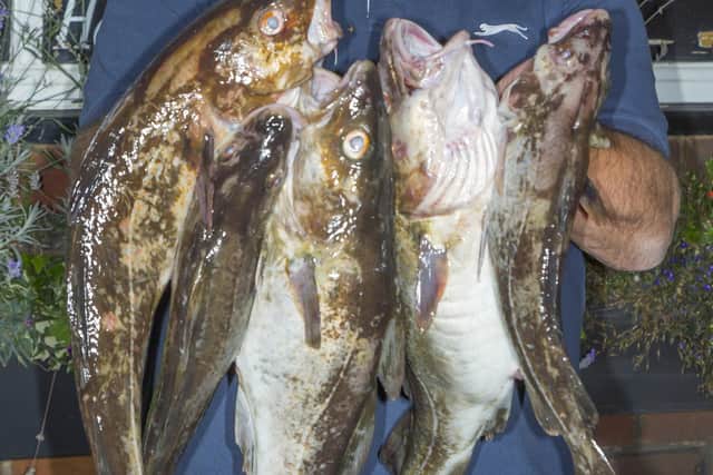 Dave Perrett had Sunday's Heaviest Bag of Fish 25 lb 10½ oz 12 fish