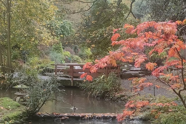 Autumnal scene at Peasholm Park.
