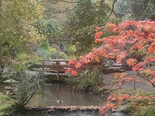 Autumnal scene at Peasholm Park.