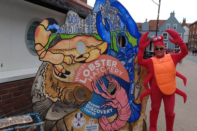 Catch of the day - Whitby’s lobster hatchery