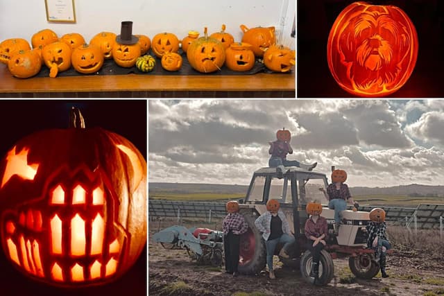 IN BILDERN: 17 gruselige Fotos von Halloween-Kürbissen, die von Lesern in ...