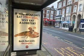 Three advertising posters by PETA have been placed in Bridlington to inspire residents to go vegan.