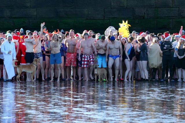 Dippers prepare to dash into the North Sea.