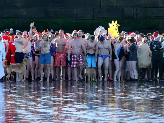 Dippers prepare to dash into the North Sea.