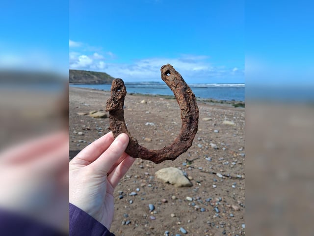 A happy find on the beach.