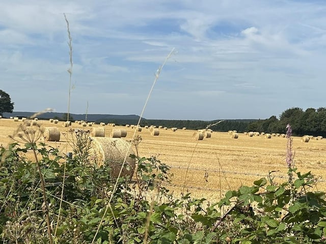 This image of hay bales near Scarborough was taken by Angie Gridley.