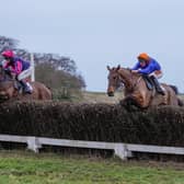 Lou Marvelous in action at the Yorkshire Jockeys Club point-to-point meeting at Charm Park