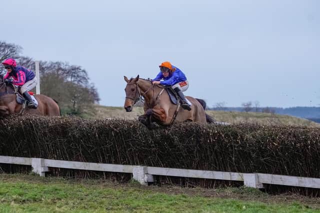 Lou Marvelous in action at the Yorkshire Jockeys Club point-to-point meeting at Charm Park