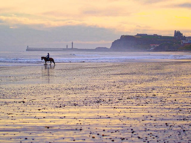 Abbi and Foxy on Sandsend beach, by Peter Christopher.