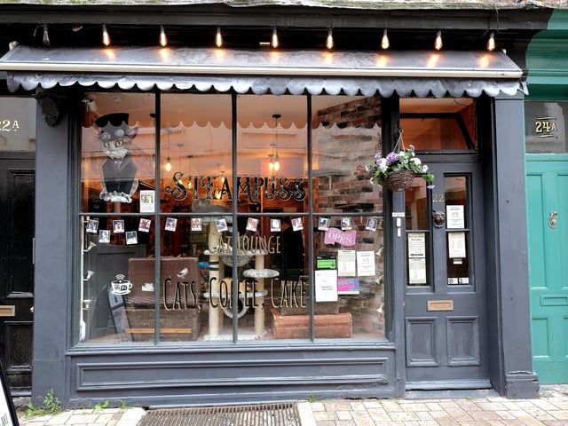 Steampuss Cat Lounge, located on Bar Street, came in at number four. A Tripadvisor review said: "Beautiful place, which we visit every time we are I'm the area. The cats are obviously loved, well cared for and happy. Our 18 year old Maine Coon passed away last year, and this gives us the opportunity to enjoy an hour with the cats and reminice of happy times with our dear departed pet. Oh, and the drinks and cakes are fab too."