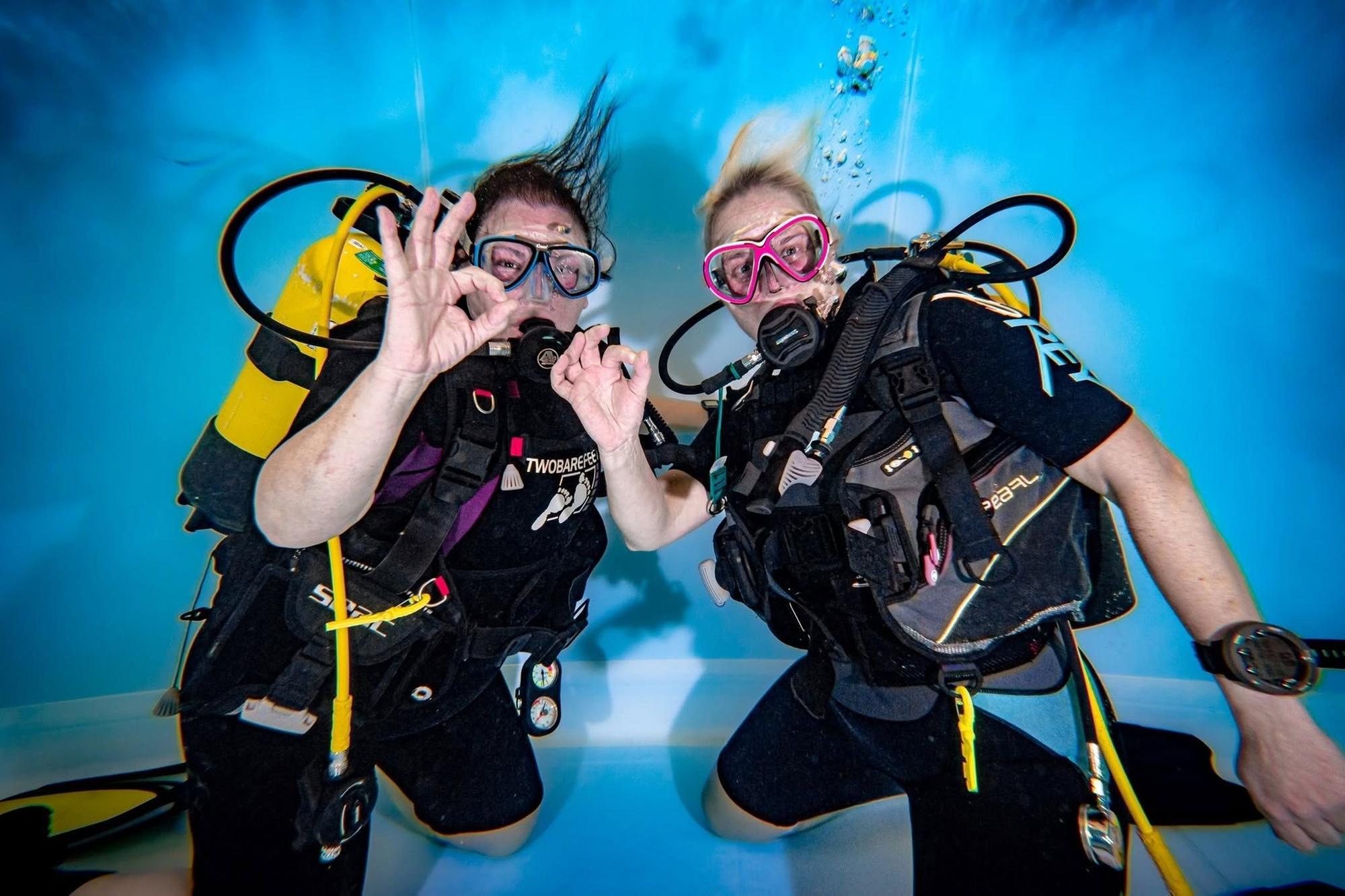 Dive into a new hobby: Scarborough Sub Aqua Club to host special open ...