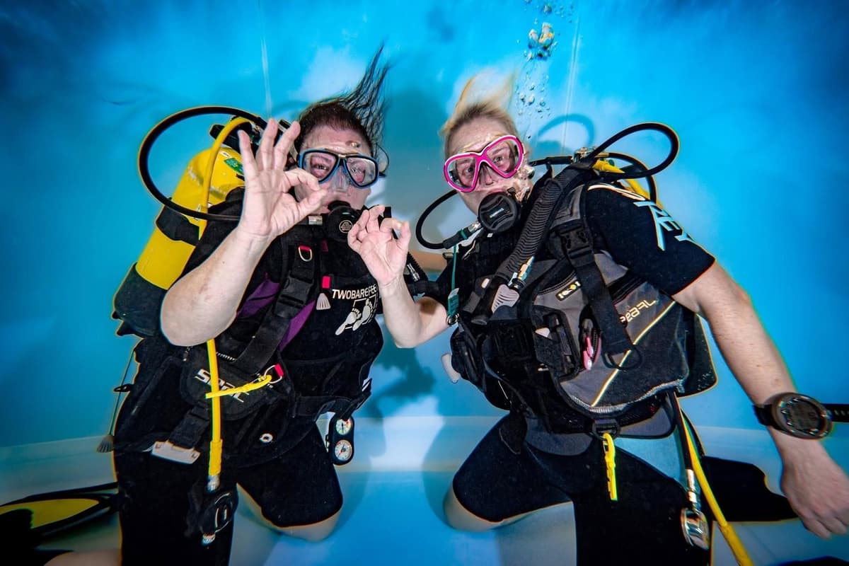 Dive into a new hobby: Scarborough Sub Aqua Club to host special open ...