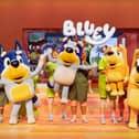 The Olivier Award nominated Bluey’s Big Play to visit Connexin in Hull.