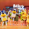 The Olivier Award nominated Bluey’s Big Play to visit Connexin in Hull.