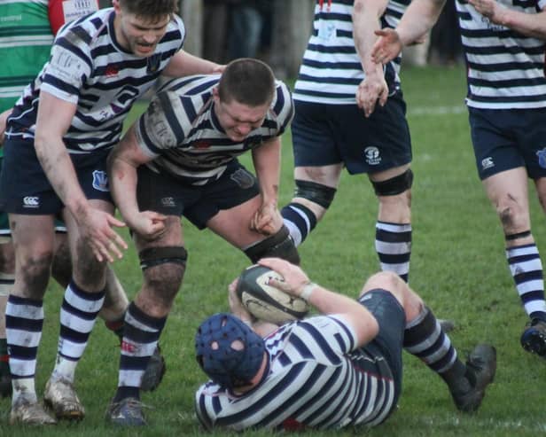 Pocklington RUFC celebrate the second of Jim Thornton's two tries. PHOTOS BY PHIL GILBANK