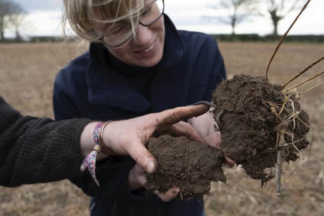 The agreement will help could help reduce high levels of salt in soil.