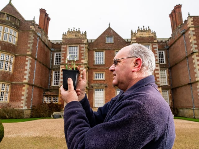 Burton Agnes Hall in East Yorkshire are celebrating their spectacular Snowdrops in the woodland know as Crowwood.