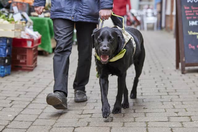 Andrew Elliker-Reeve is hoping £5000 for Guide Dogs UK by completing his challenge next week