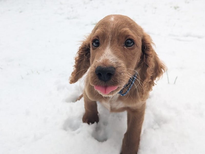 Loving the snow