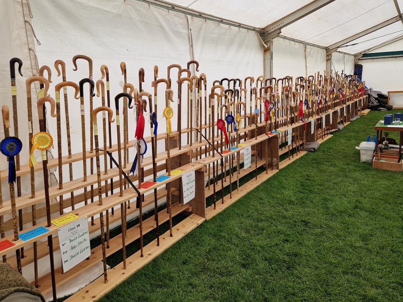 There were more than 200 entries in the Shepherd's Crook competitions