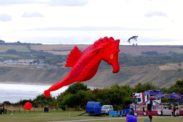 A seahorse kite