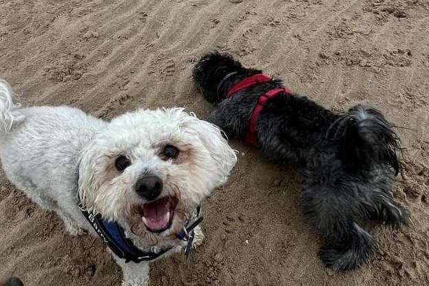 Barry and Bobby are enjoying the beach together in this photo.