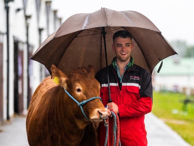 Tom Kitching, sheltering from the rain while holding a pedigree Limousin from Mountainstorm Limousins at Halifax owned by A J Atkins at Masons Green Farm