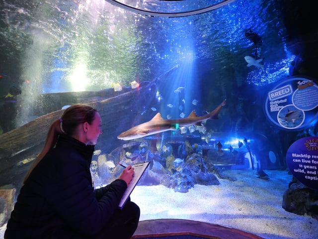 Amy German checks one of the main tanks